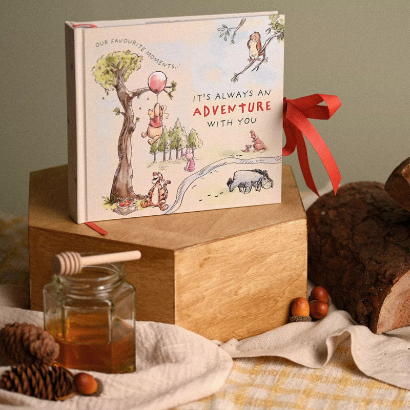 Disney Winnie The Pooh Photo Album Baby Products Wholesaler
