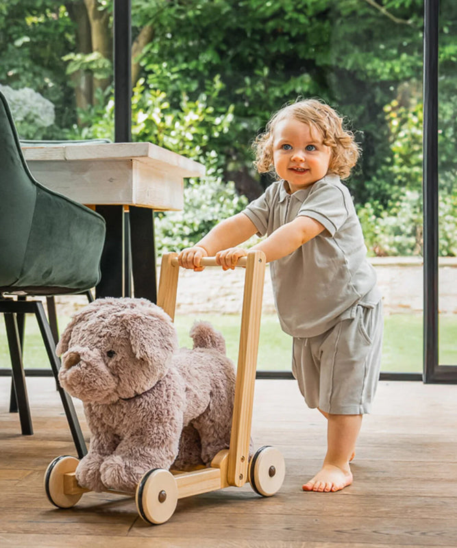 Little Bird Told Me Push Along Bailey Dog Baby Products Wholesaler