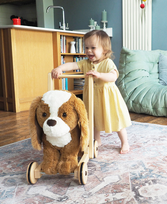 Little Bird Told Me Push Along Peanut Pup Baby Products Wholesaler