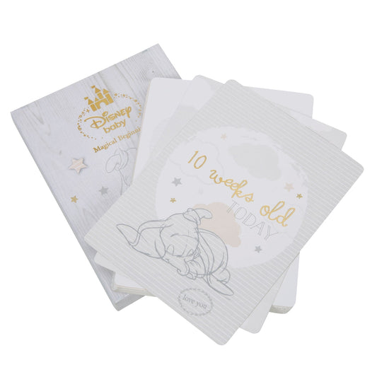 Disney Magical Beginnings Milestones Card Set - Dumbo Baby Products Wholesaler