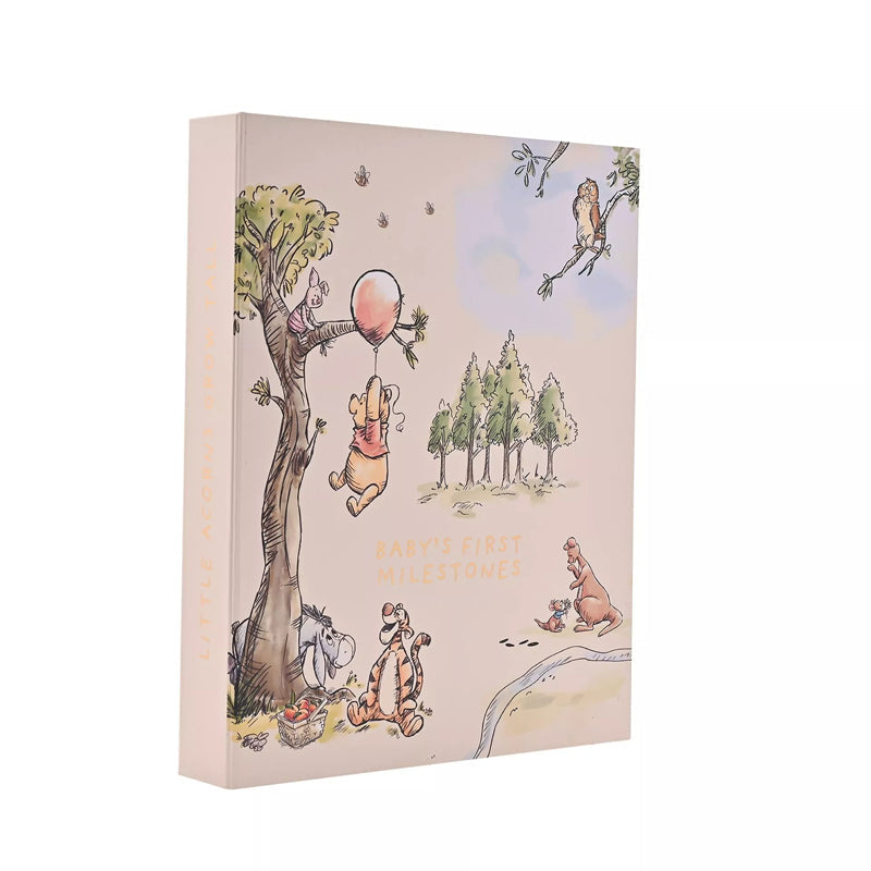 Disney Winnie The Pooh Milestone Keepsake Set Disney