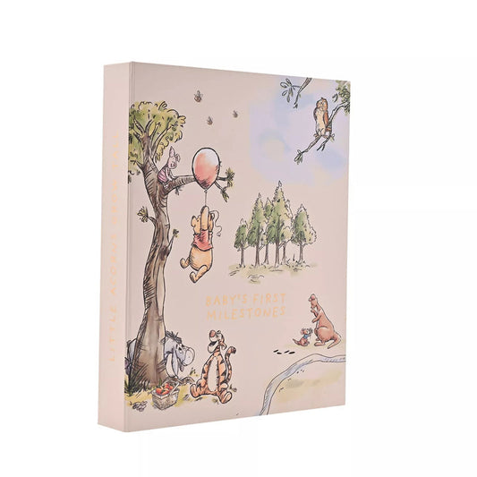 Disney Winnie The Pooh Milestone Keepsake Set Disney