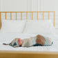 Copper Pearl Knitted Swaddle Blanket Picasso Baby Products Wholesaler