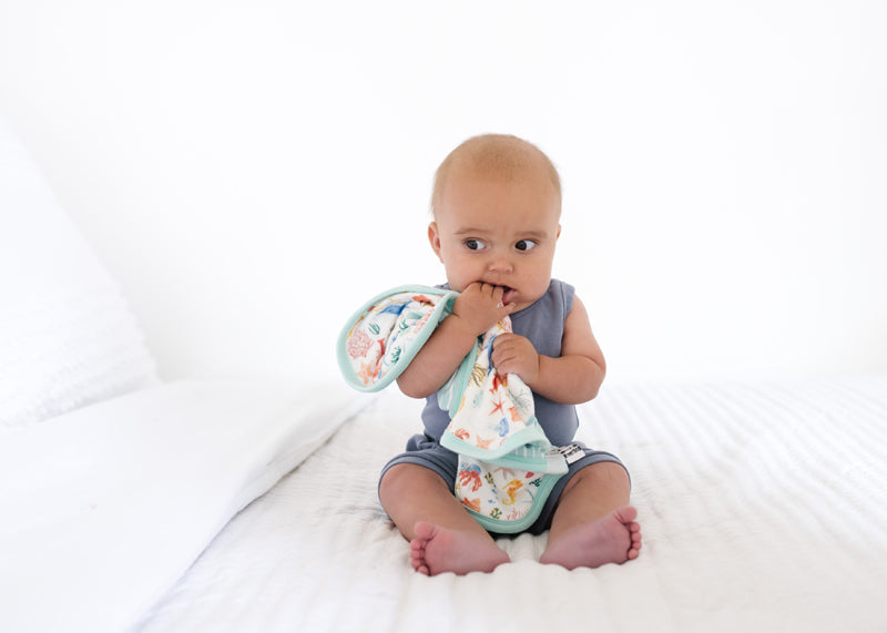 Copper Pearl Lovey 3 Layer Comfort Blanket Nautical 2Pk Baby Products Wholesaler