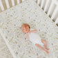 Copper Pearl Premium Elasticised Cot Sheet Rex Baby Products Wholesaler