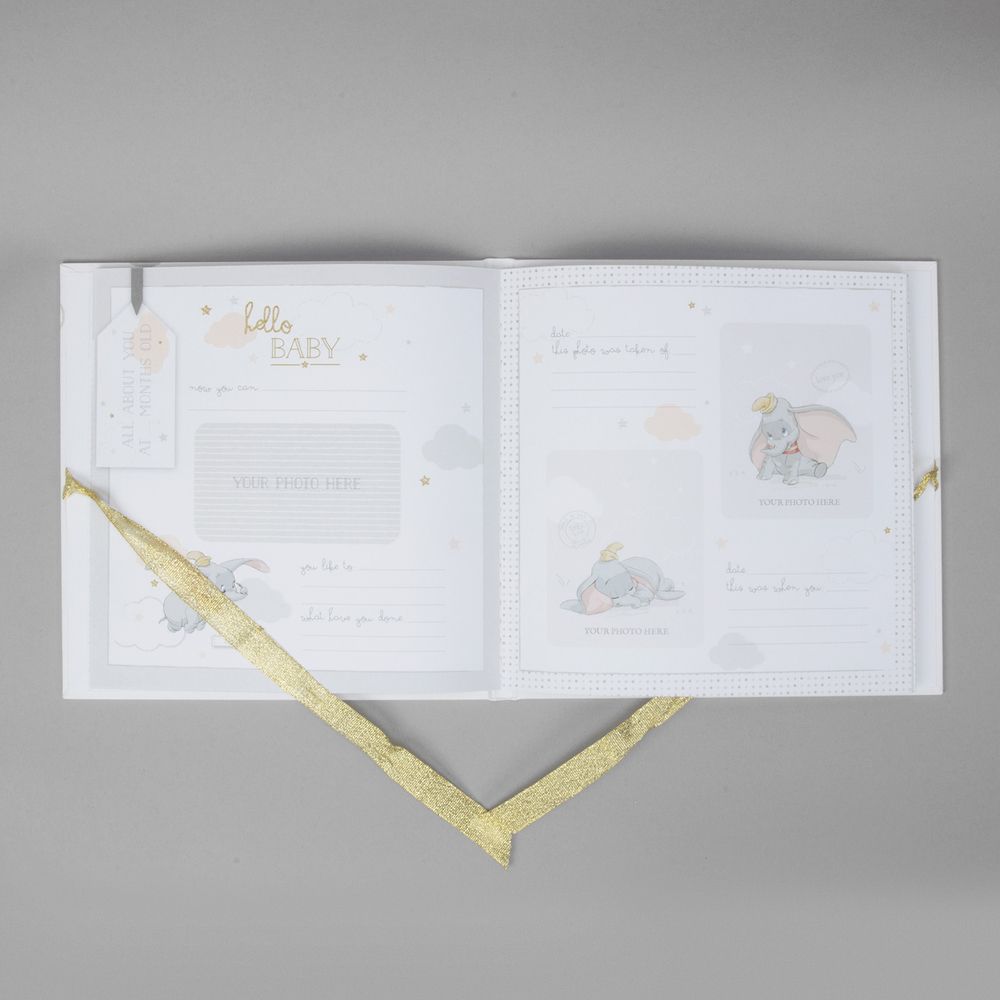 Disney Magical Beginnings My First Year Photo Record Book Baby Products Wholesaler