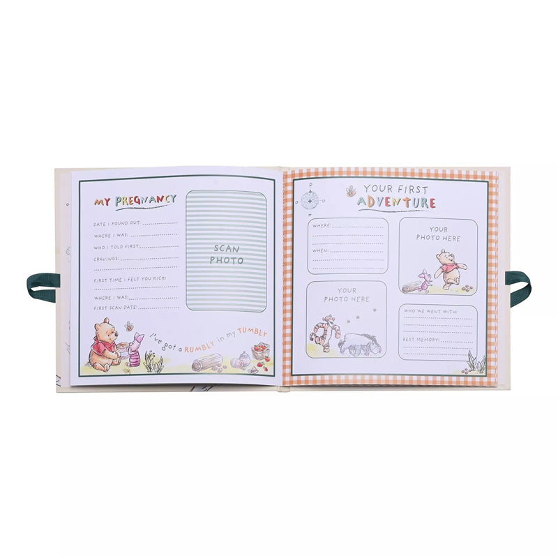 Disney Winnie The Pooh First Year Record Book Disney
