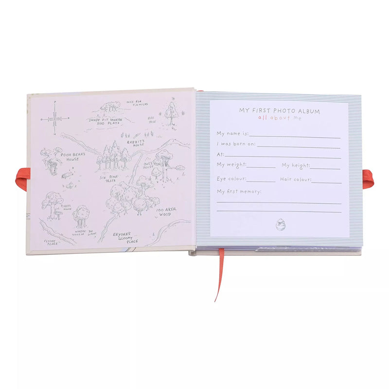 Disney Winnie The Pooh Photo Album Baby Products Wholesaler
