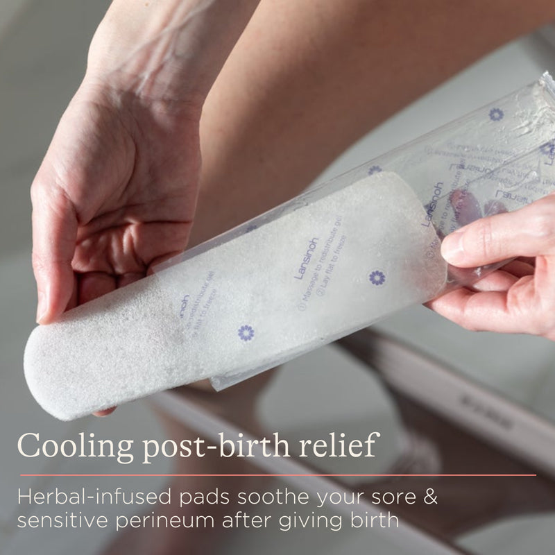 Lansinoh Postpartum Padsicles 8Pk Baby Products Wholesaler