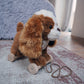 Little Bird Told Me Peanut Pull Along Baby Products Wholesaler