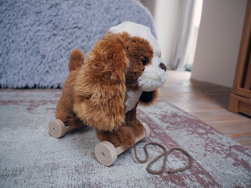 Little Bird Told Me Peanut Pull Along Baby Products Wholesaler