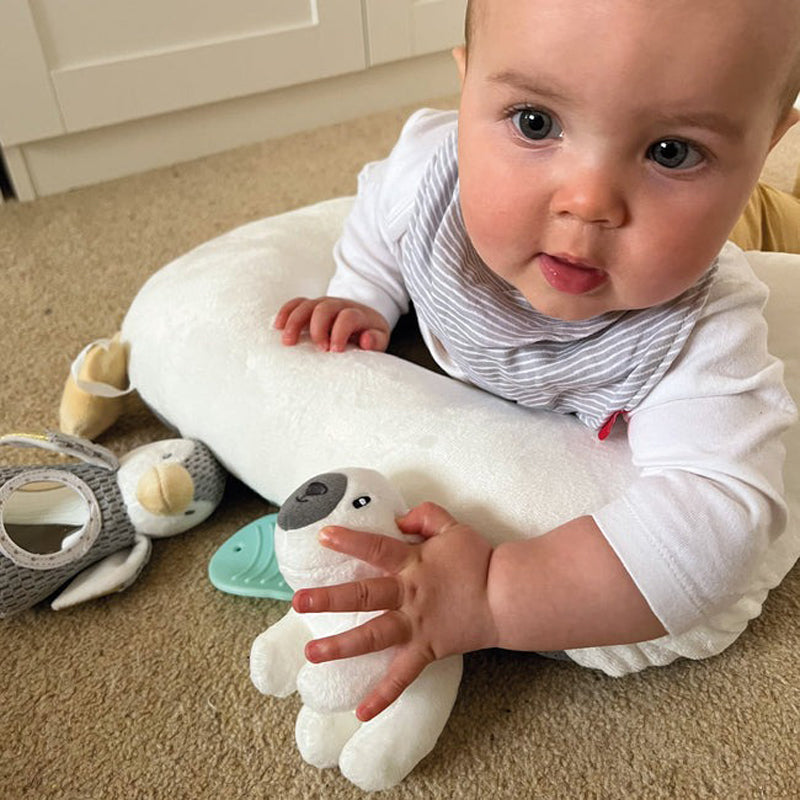 Nuby Penguin Tummy Time Pillow Baby Products Wholesaler