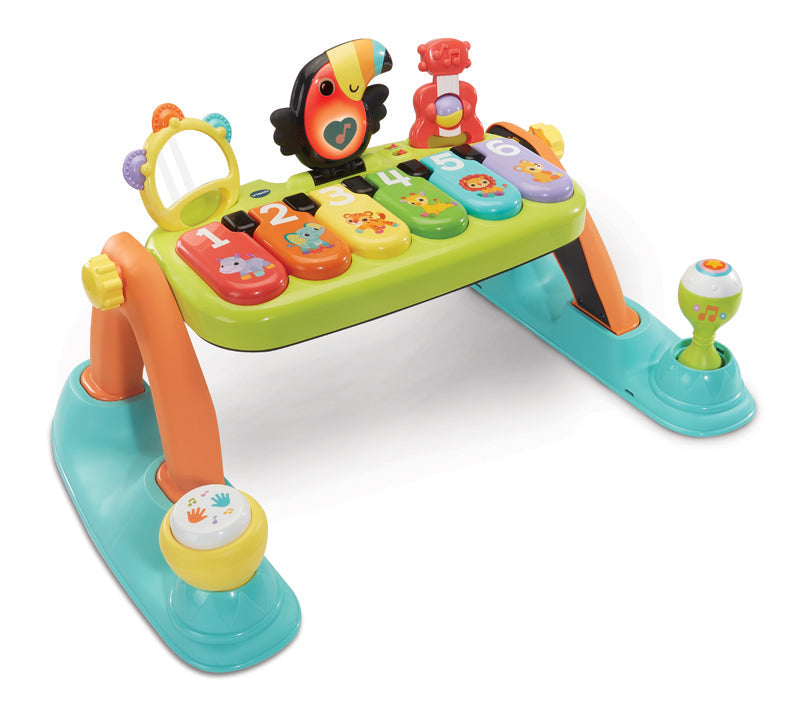 VTech 5-in-1 Toucan Tunes Play Gym Baby Products Wholesaler