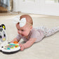 VTech Discovery Zebra Laptop Baby Products Wholesaler