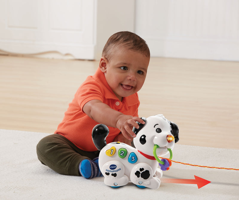 VTech Pull Along Puppy Pal Baby Products Wholesaler