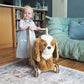 Little Bird Told Me Push Along Peanut Pup Baby Products Wholesaler