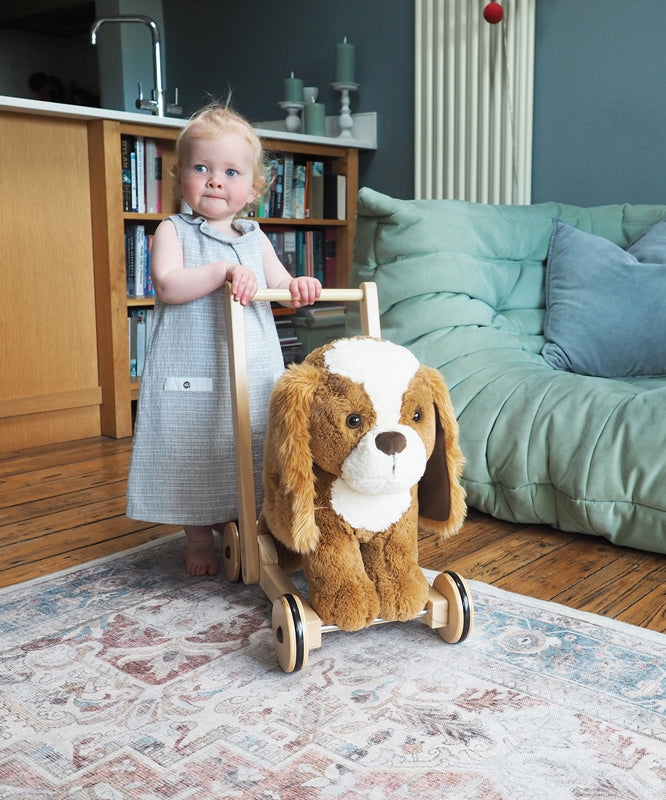 Little Bird Told Me Push Along Peanut Pup Baby Products Wholesaler