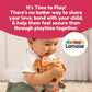 Lamaze Lovey the Pug Baby Products Wholesaler