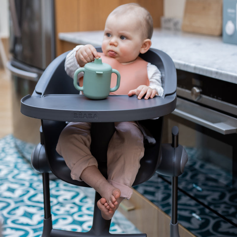 Béaba Up & Down Evolutive Highchair Dark Grey Baby Products Wholesaler