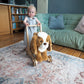 Little Bird Told Me Push Along Peanut Pup Baby Products Wholesaler