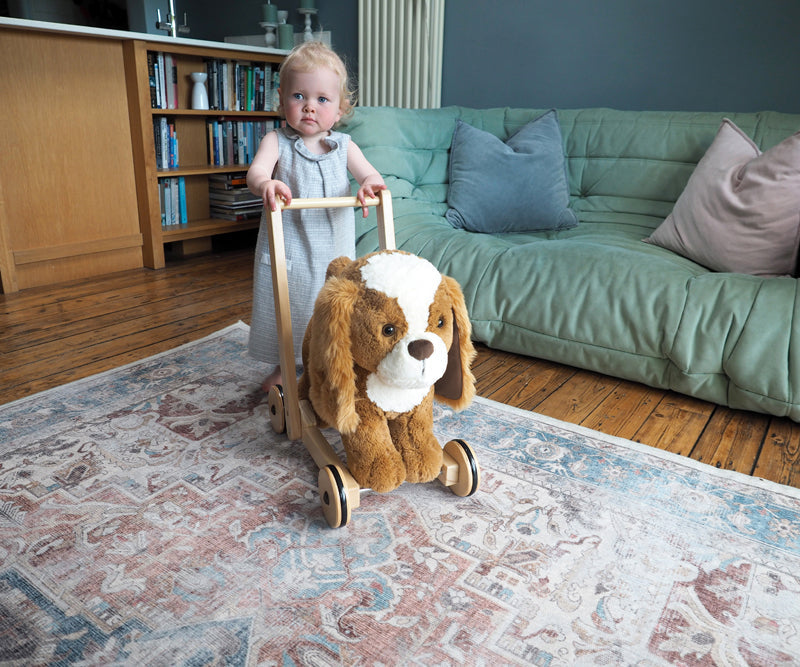 Little Bird Told Me Push Along Peanut Pup Baby Products Wholesaler