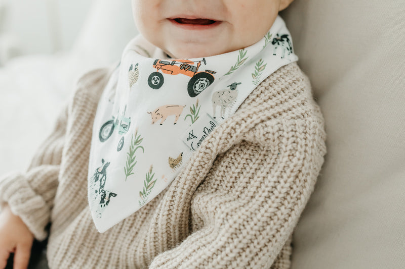 Copper Pearl Bibs Jo 4Pk Baby Products Wholesaler