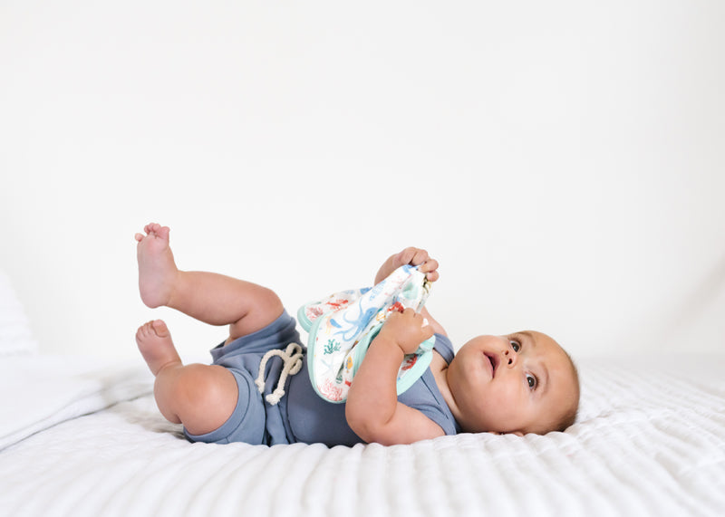 Copper Pearl Lovey 3 Layer Comfort Blanket Nautical 2Pk Baby Products Wholesaler