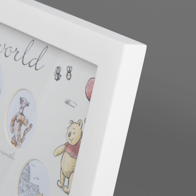 Disney Christopher Robin First Year Multi Aperture Frame Disney