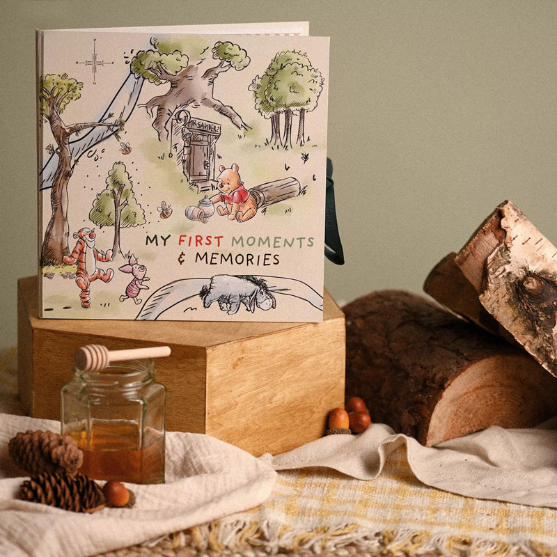 Disney Winnie The Pooh First Year Record Book Disney