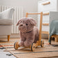Little Bird Told Me Push Along Bailey Dog Baby Products Wholesaler