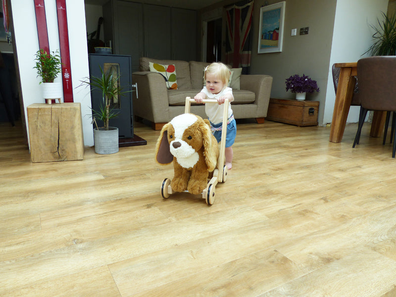 Little Bird Told Me Push Along Peanut Pup Baby Products Wholesaler