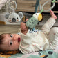 Nuby Animal Adventures Play Gym Baby Products Wholesaler