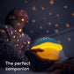 Pabobo by Angelcare Mushroom Musical Stars Projector  - Blue Baby Products Wholesaler