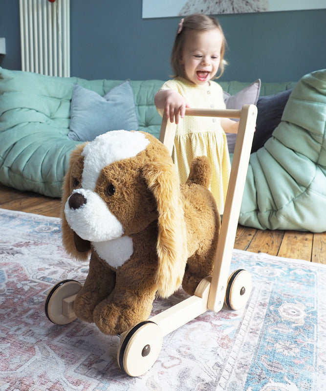 Little Bird Told Me Push Along Peanut Pup Baby Products Wholesaler