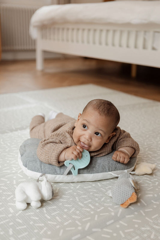 Nuby Penguin Tummy Time Pillow Baby Products Wholesaler