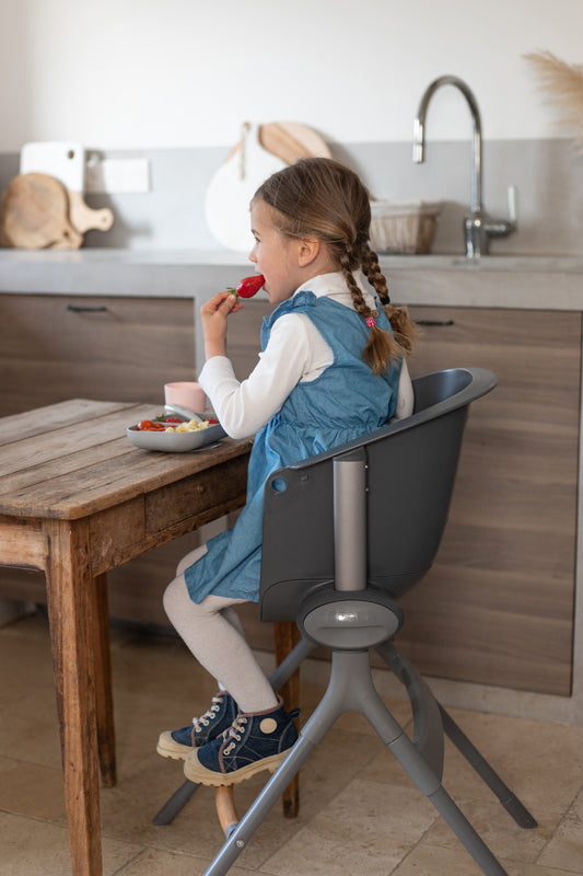 Béaba Up & Down Evolutive Highchair Dark Grey Baby Products Wholesaler