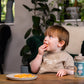 Vital Baby Nourish Perfectly Simple Plates 5Pk Baby Products Wholesaler