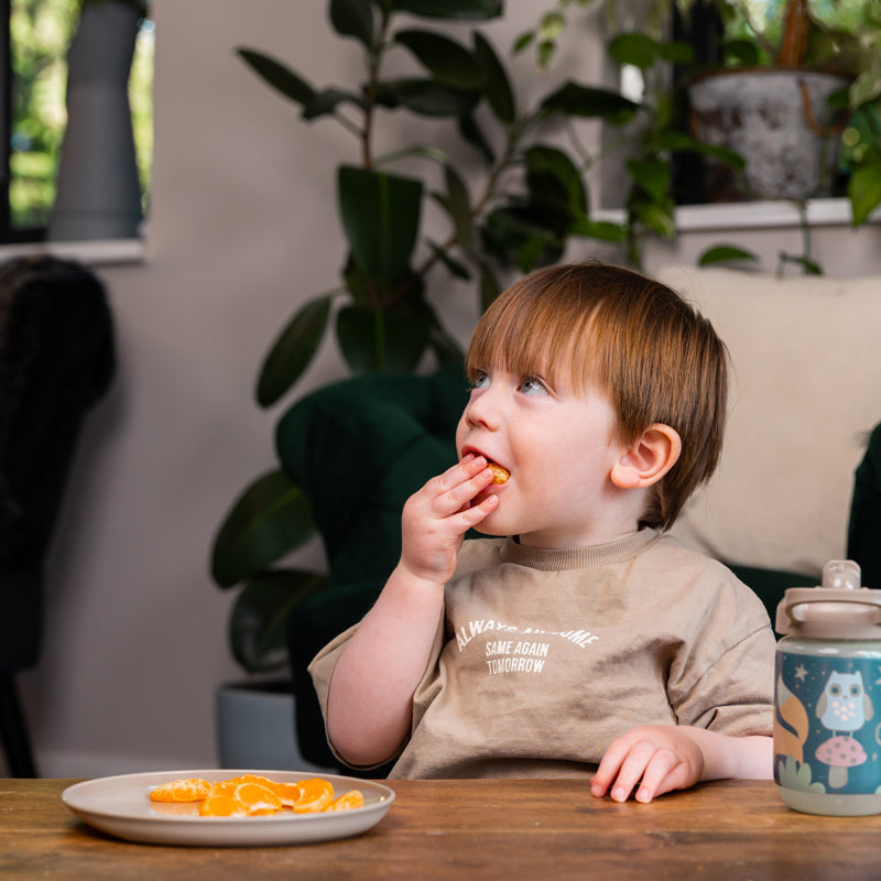 Vital Baby Nourish Perfectly Simple Plates 5Pk Baby Products Wholesaler