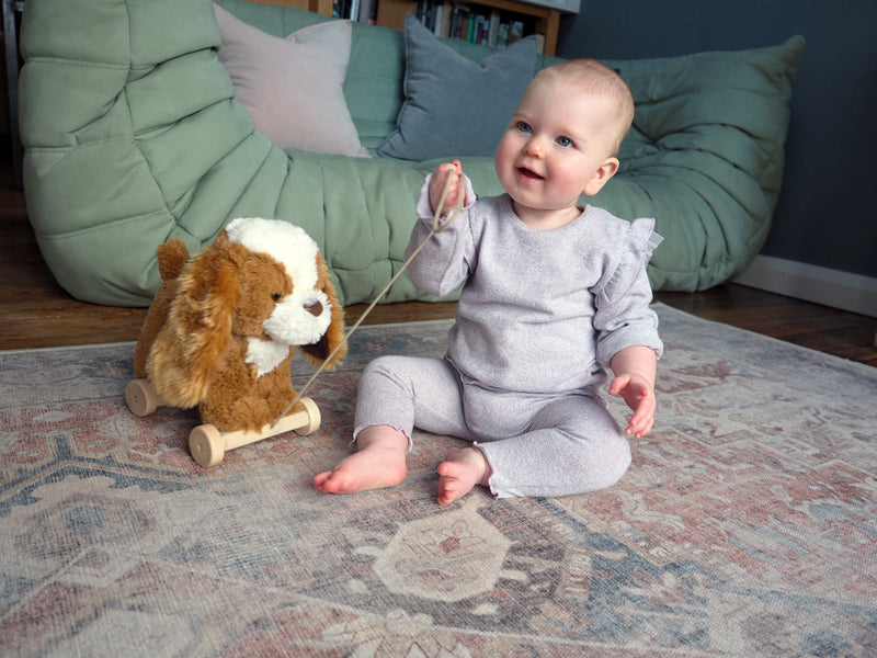 Little Bird Told Me Peanut Pull Along Baby Products Wholesaler
