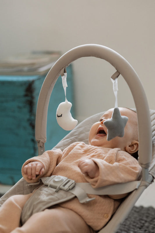 Nuby Baby Bouncer Baby Products Wholesaler