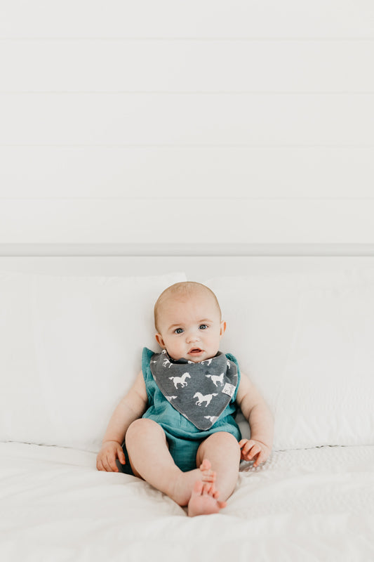 Copper Pearl Bibs Colt 4Pk Baby Products Wholesaler