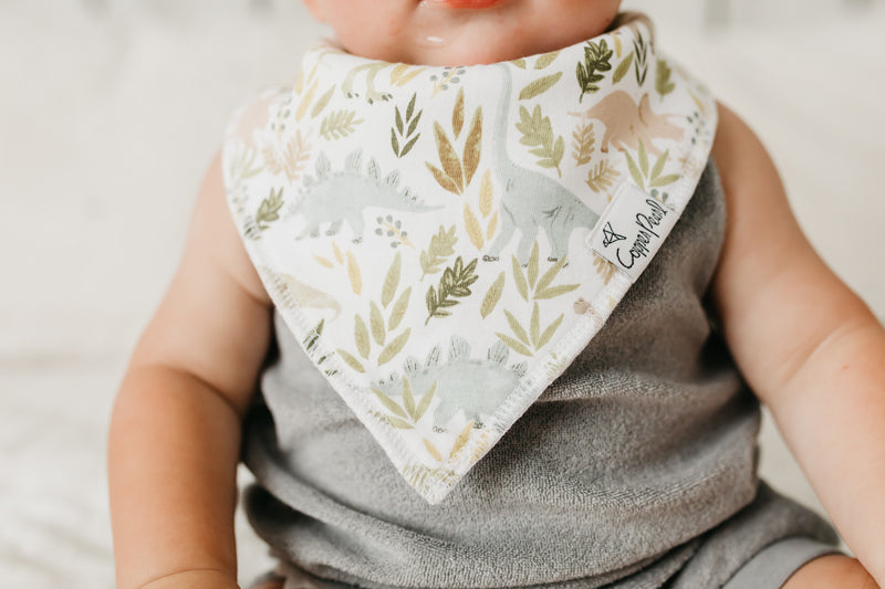 Copper Pearl Bibs Rex 4Pk Baby Products Wholesaler