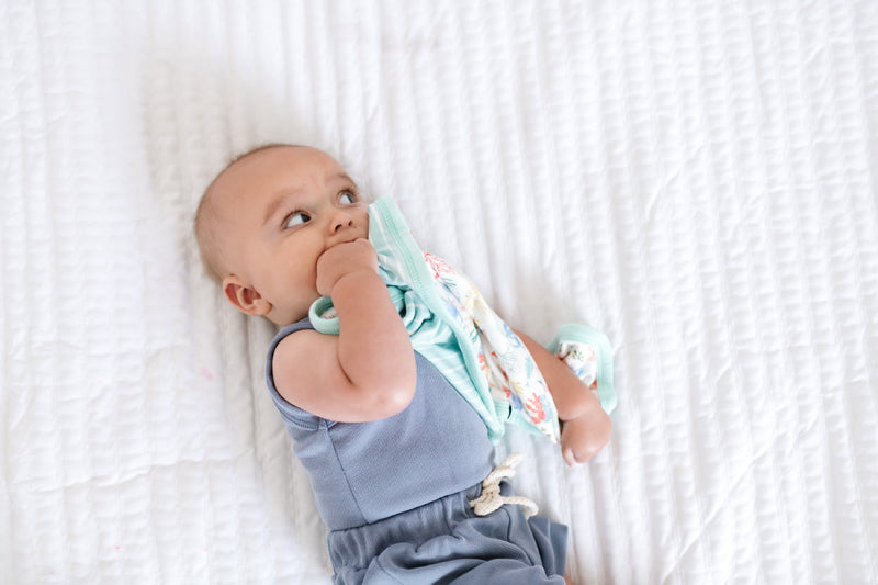 Copper Pearl Lovey 3 Layer Comfort Blanket Nautical 2Pk Baby Products Wholesaler