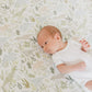 Copper Pearl Premium Elasticised Cot Sheet Rex Baby Products Wholesaler