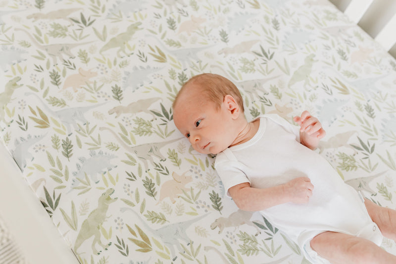 Copper Pearl Premium Elasticised Cot Sheet Rex Baby Products Wholesaler