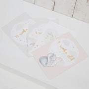 Disney Magical Beginnings Milestones Card Set - Dumbo Baby Products Wholesaler