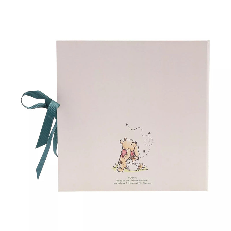 Disney Winnie The Pooh First Year Record Book Disney