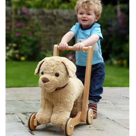 Little Bird Told Me Push Along Dexter Dog Baby Products Wholesaler