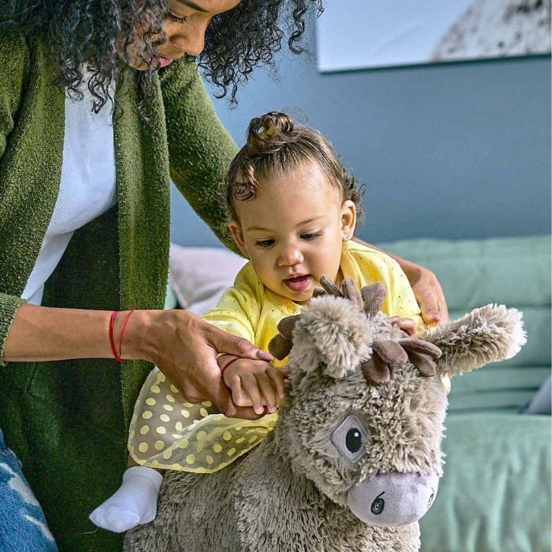 Little Bird Told Me Rocking Donkey Norbert 9m+ Baby Products Wholesaler