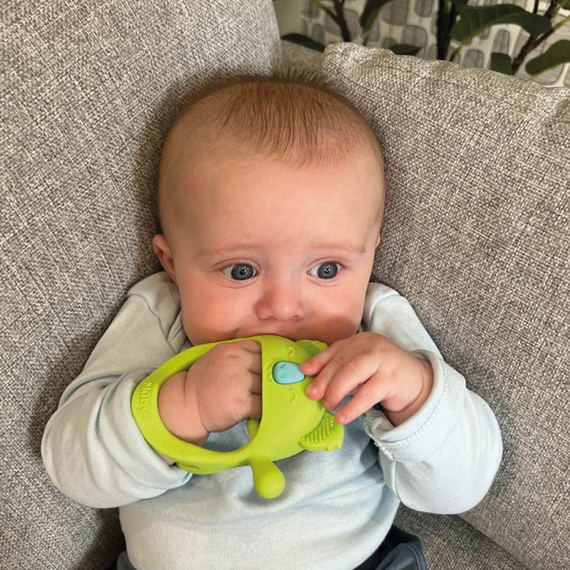 Nuby Mini Wrist Grip Teething Mitten Koala Baby Products Wholesaler
